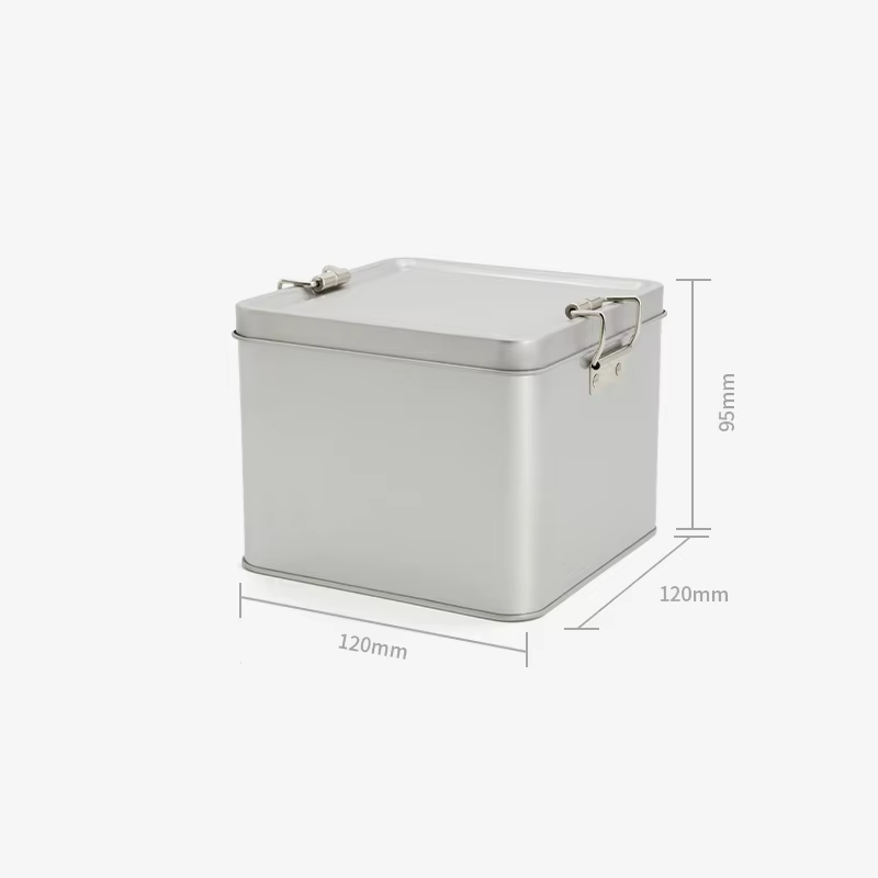 Rectangular metal clasp gift jar06